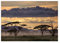 Displate - Poster aus Metall - Magnet-Montage - World Class Photos - Landscapes - Good Evening Tanazania 45 cm x 32 cm