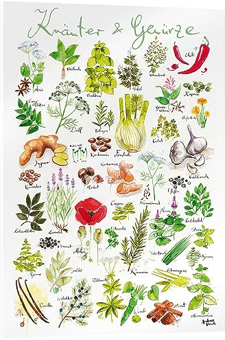 Posterlounge Kräuter & Gewürze Acrylglasbild von Andreas Hirsch 30 x 40 cm Wandbilder Wanddeko
