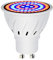 Liummrcy Cultiver l'ampoule 60 LEDs GU10 Croissance des Plantes Spectre Complet Plant Plant Lampe horticole 220V Indoor pour Les Plantes intérieures Succulentes Garde