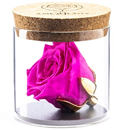 Amoroses Bijou - Rose éternelle stabilisée avec Calice plaqué Or 24K dans Un conteneur en Verre | Idée Cadeau (Rose Rose Shocking)