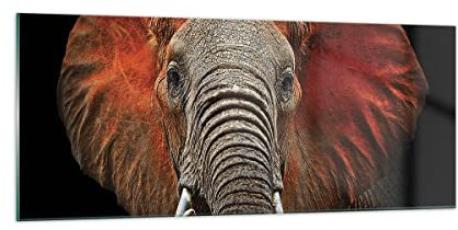 Moderne Impression sur Verre 100x40cm Image Tableau en Verre Decoration Murale Éléphant Rouge Oreilles Grand Tableaux Decoratifs Muraux Chambre Cuisine Panoramique Deco Cadre Salon Art GAB100x40-4237
