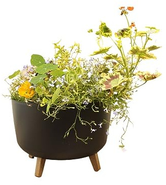 Gardening Naturally Indoor Plant Pot Zinnia Stylish and Durable Planter for Houseplants (Round Pot 40cm - Antracite)
