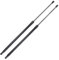 Frankberg 2x Gasfeder Dämpfer Heckklappe Kompatibel mit Caddy III 2CA 2CB 2CH 2CJ 2KA 2KB 2KH 2KJ MPV Kasten 2004-2015 Replace# 2K0827550A