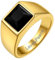 GoldChic Herren Geburtsstein Fingerring mit Name/Text/Wunsch Gravur 316L Edelstahl 8mm breit Quadratischer Schwarzer Zirkon Siegelring Glänzender Zirkonia Bandring in Gold Ringgröße 62.1（19.8）