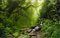 Fototapete 160X250Cm Grüner Waldtapeten Wohnzimmer Modern,Fototapete Schlafzimmer Kinderzimmer Wanddekoration,Büro, Flur Tapete