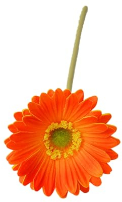 fxwtich Langlebige künstliche Blüten, Gerbera-Blüten Jamesonii mit Stiel, realistische künstliche Seidenblume für Zuhause, Büro, Tischdekoration, künstlicher Blumenzweig Orange