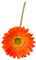 fxwtich Langlebige künstliche Blüten, Gerbera-Blüten Jamesonii mit Stiel, realistische künstliche Seidenblume für Zuhause, Büro, Tischdekoration, künstlicher Blumenzweig Orange