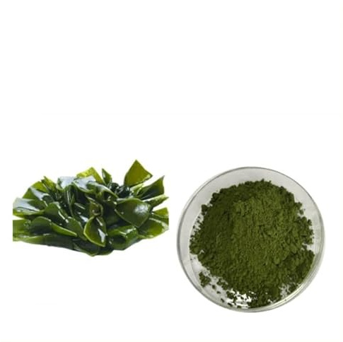Kelp Granulat Kelp Meal Sea Kelp Kombu Pulver Laminaria Japonica Kelp Extrakt Pulver (400g)