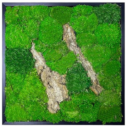 Relxhmft Wandkunst, konserviertes Moos, Wanddekoration mit schwarzem Holzrahmen, handgefertigt, natürliches Moos, Wandpaneel für Schlafzimmer, Wohnzimmer, Badezimmer, Büro, Tischplatte (Stein)