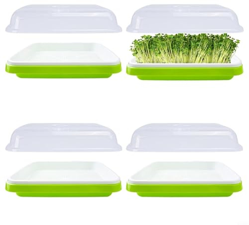 CashMuch Confezione da 4 vassoi per piante con coperchio, capacità germogliatore per fagioli verdi, erba medica, cucina, giardino, verde