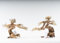 NatureHolic Wald Bonsai | Echtholz Wurzel | Holz Aquarien Dekoration | Für Aquarium & Terrarium | Größe: L