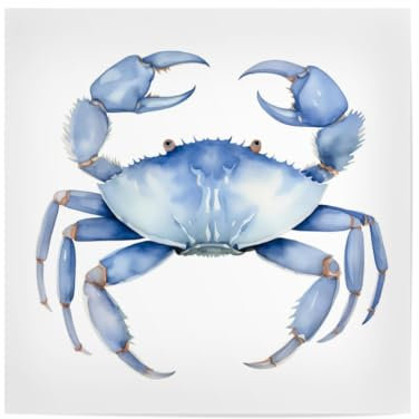 artboxONE Poster 20x20 cm Tiere Blauer Krebs-Schalentier - Bild krebstier helblaue wandkunst krabben