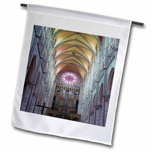 3dRose FL_239231_1 Flagge der Kathedrale der Madame von Amiens von Notre Dame in Paris, 30,5 x 45,7 cm, Weiß