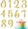 Acrylic Number Cake Topper 0-9 Gold Mirrored Cupcake Toppers Numbers Acrylic Numbers Picks for Cake Decorating Wedding Party Happy Birthday Baby Shower Supplies