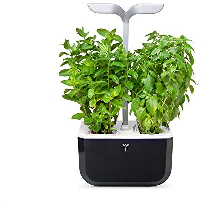 Véritable Indoor-Garten Exky® Smart (Soft Black) Kompakter und autonomer intelligenter Garten mit Adapt'light-Technologie - Mit 2 Lingots®