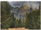 ABAKUHAUS Yosemite Puzzle, Yosemite Park Herbst, Heirloom-Qualität lustige Aktivität für die Familie langlebiger Karton, 1000 Stücke, Grün Grau