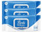 Blake & White Purely Protect Virucidal & Antibacterial Wipes - Fast Drying Biodegradable Multi Purpose Cleaning Wipes for Household Surfaces - 3 Packs of 100 sheets