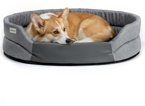 Peluvio Arita Hundebett Wasserabweisend Pflegeleicht rutschfest Niedriger | Einstieg Hundekissen Formstabil mit T18-Schaum Waschbar bis 30°C Für Kleine Ältere Hunde S M L Indoor Outdoor