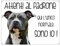 CARTELLO CANE - AMSTAFF Attenti al padrone qui l'unico normale sono io - Con Adesivo in Vinile e Pannello in Forex (Pannello 5mm Stampato)