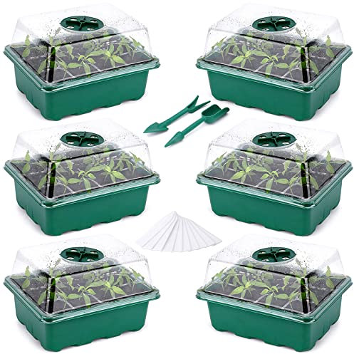 Fox·Bunny Mini Serre pour Semis,3 Pièces 36 Cellules Intérieure Plateau Semis,Bacs à semis,avec Couvercle et Ventilation Durables Pot Semis,idéal pour la Germination des graines (Vert) (Vert-6Pcs)