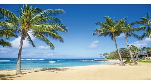 Renaiss 3x1.5m Sommer Strand Hintergrund Tropischer Ozean Sandstrand Palmen Fotografie Hintergrund Kinder Erwachsene Urlaub Reisen Flitterwochen Vinyl Photo Booth Shoot Studio Requisiten