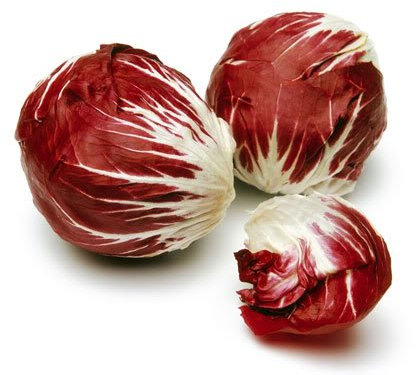 100 RADICCHIO DI TREVISO Radicchio Rosa semina di verdure