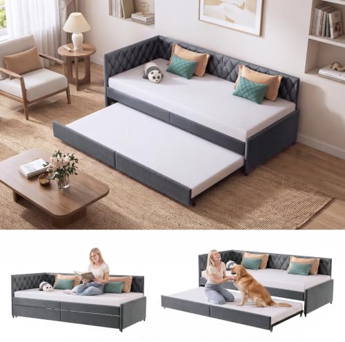 DADEA Schlafsofa 90/180x200 cm Ausziehbar Tagesbett mit Lattenrost Samtstoff Polsterbett Platzsparendes Funktionsbett für Gästezimmer Modernes Einzelbett zum Doppelbett Schlafcouch ohne Matratze Grau
