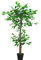 Outsunny Arbre Artificiel Plante Artificiel ficus Hauteur 1,2 m Tronc Branches Liane Lichen Feuilles Grand réalisme Pot Inclus