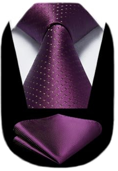 HISDERN Krawatte Lila Klassisch Hochzeits Krawatte mit Einstecktuch Formal Elegant Schlips Business Party