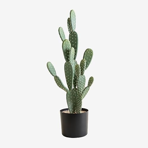SKLUM Künstlicher Kaktus Opuntie 72 cm ↑72 cm