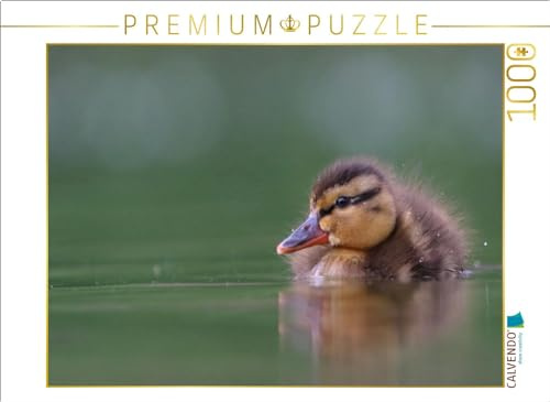 CALVENDO Puzzle Stockente (Mallard) | 1000 Teile Lege-Größe 64 x 48 cm Foto-Puzzle für glückliche Stunden