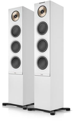 Teufel Stereo L 2 - Paire d'enceintes Actives sur Pied sans Fil Bluetooth WLAN Multiroom Streaming Radio Internet, boîtier en Bois, Enceintes Hi-FI, 190 Watts, système à 3 Voies - Noir (Blanc)