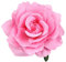 Dreamlily Rose Blume Haarspange Flamenco Tänzerin Pin up Blume Brosche BC10, Helles Pink, 1 Count (Pack of 1)