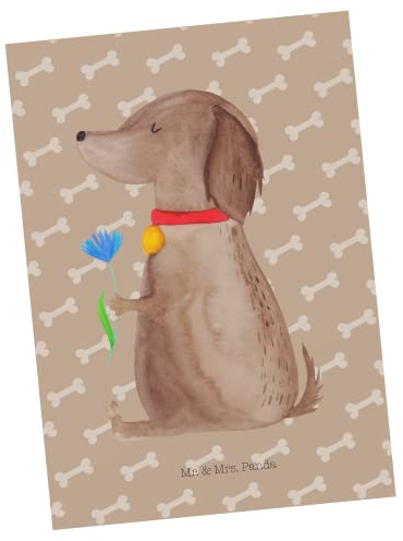 Mr. & Mrs. Panda Postkarte Hund Blume - Geschenk, Ansichtskarte, Postkarten, Fotokarte, Grußkarte, Sprüche, Hunde, Halsband, bildkarte, Süß