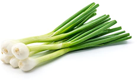 Spring Onion Plants, 'White Salad', 36 x Full Plant Pack, Spring Onions, Salads, Salad Onions, Garden Ready and Ready to Plant, Premium Quality Vegetables