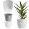 KADAX Blumentopf aus Kunststoff, ⌀ 11 – 21 cm, 5 Farben, einfacher Topf, robuster Pflanztopf, Pflanzkübel, runder Blumentopfschutz für Farn (⌀ 17cm, Grau)