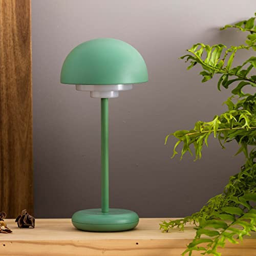 LARI Grüne tragbare Lampe