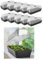 Dynamic24 Serre d'Élevage Mini Avec Couvercle - Serre d'Intérieur Pour Petite Culture (10 x 51 cm)
