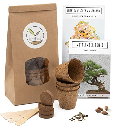 Bonsai Starter Kit Anzuchtset inkl. eBook - Pflanzset aus Kokostöpfen, Samen & Erde - nachhaltige Geschenkidee für Pflanzenfreunde (Mittelmeer Pinie + Amerikanischer Amberbaum)