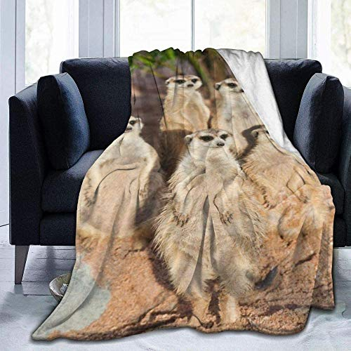 GHYUIPP Wohn-Kuscheldecken,Micro Fleece Plüsch Weiche Babydecke Niedlich Lustige Tier Erdmännchen Decke Leichte Flanell Kindertagesstätte Nap KidsThrowanket-80x60Inch