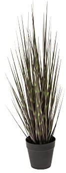 Boston International Künstliches Ornamentgras Home Decor Faux Indoor House Plant in Plastic Pot, Small, Zebra Gras