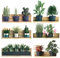 6 Stickers Muraux en 3D pour Salon, Feuilles Vertes en PVC Feuilles Vertes Feuilles Vertes Fleurs Et Plantes en Pot Autocollants Muraux pour Cuisine, Bureau, Décoration Murale
