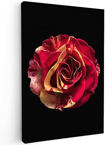 MuchoWow© Quadri Moderni Soggiorno su Tela Quadro 40x60 cm Canvas Foto Dipinti Camera da Letto Decorazioni Pareti Fiore - Rosa - Rosso - Nero