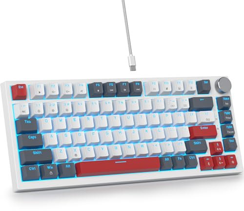 SbocKeeb V400 Custom Gaming Keyboard 75 percent Hot-Swappable, 75% Wired Mechanical RGB Keyboard with Gasket and Sound Absorbing Pads Programmable American QWERTY for Mac/Win V400 Gray white