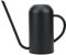 Regadera de Acero Inoxidable de 1.5L, Regadera Retro de Boca Larga para Plantas Suculentas, Regadera de Acero Inoxidable para Plantas de Interior y Exterior (Negro)
