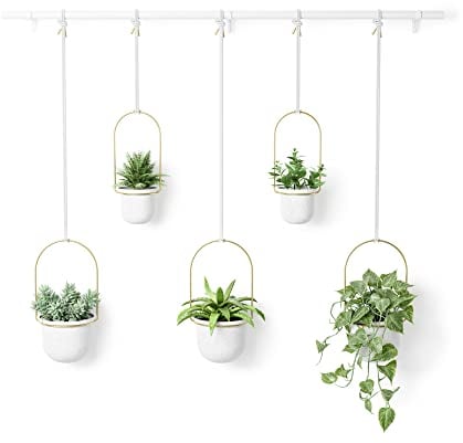 Umbra Triflora Vase, Hängeblumentopf, Wandvase, Blumenampel für Wand- und Deckenanbringung, 5 Töpfe, Weiss/Messing