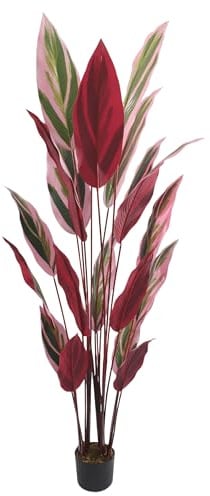 Lacers SMARAGDLINE künstliche Calathea Pflanze- Korbmarante im Topf 190cm, realistische Optik, Dekoration für Wohnzimmer, Balkon und Büroräume- echtwirkende Blätter & Blüten ohne spezielle Pflege