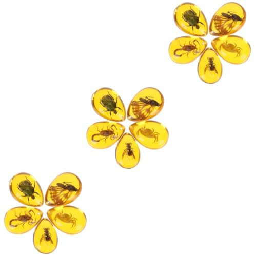 DECHOUS 3 Sätze Probe Harz Armbandage Insektenanhänger Schmuckherstellung Mit Insekten Bernsteinkette Bernstein Mit Bernsteinperlen Exemplar Anhänger Bernsteinhandwerk Aus Harz 5 Stück * 3