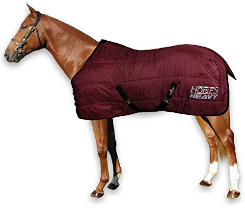Horses, Winterdecke für Pferd Heavy 300g, Gepolstert, Weich, Bequem, Ideal für Boxen, Widerstandsfähig, mit Verstärkten Nylonkanten, Bordeaux, 155 cm