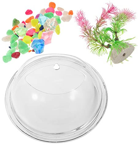 Housoutil Wandmontierter Hydroponik-vase Fischbehälter Dekorativer Wandvase Für Pflanzen Und Fische Zufälliger Stil Durchmesser Für Und Gartenaccessoires